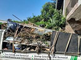 Best Dumpster Rental Services  in Geva, NE