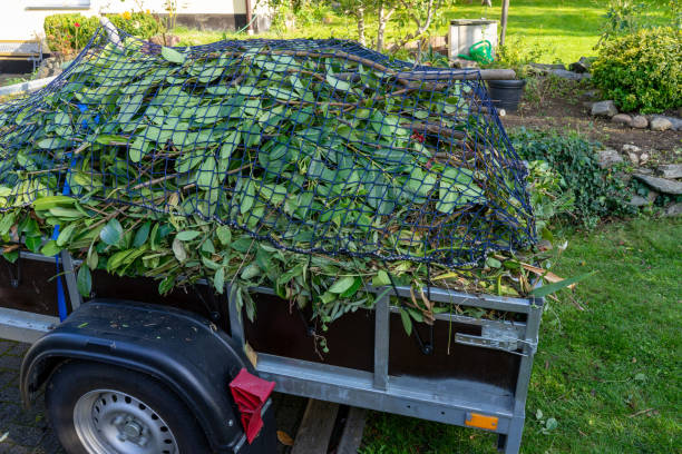 Best Carpet Removal and Disposal  in Geva, NE